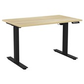 Height Adjustable Desks