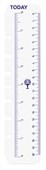DEBDEN DAYPLANNER PERSONAL EDITION REFILL TODAY RULERS SIZE PACK 2